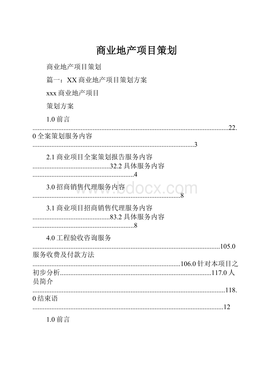 商业地产项目策划.docx