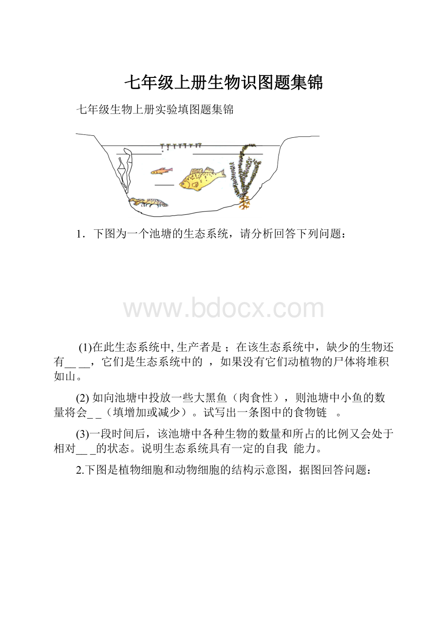 七年级上册生物识图题集锦.docx