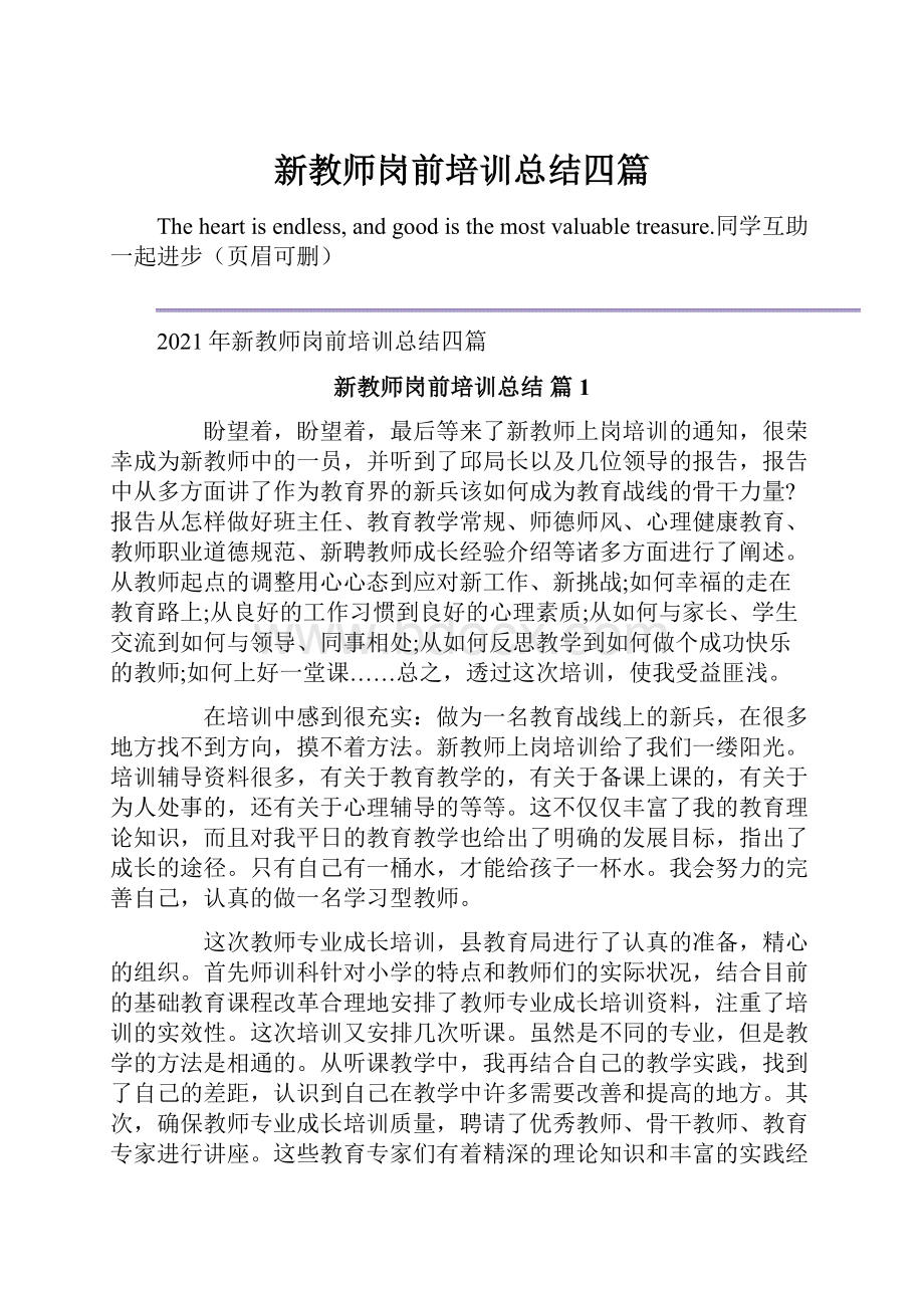 新教师岗前培训总结四篇.docx