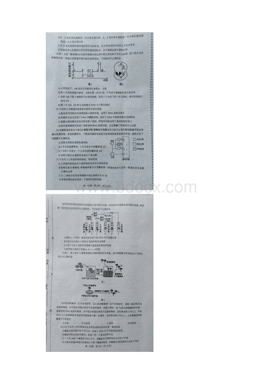 河南省南阳市学年高一生物下学期期末考试试题扫描版.docx_第3页