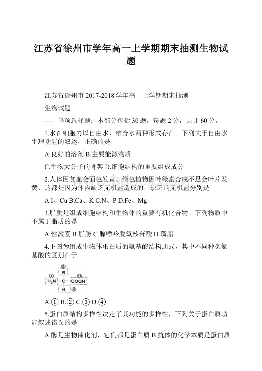 江苏省徐州市学年高一上学期期末抽测生物试题.docx_第1页