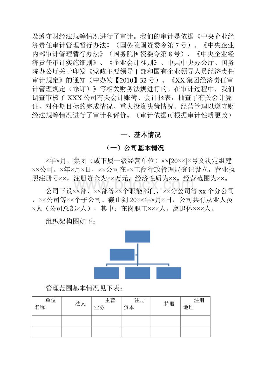 经济责任审计报告模板.docx_第2页