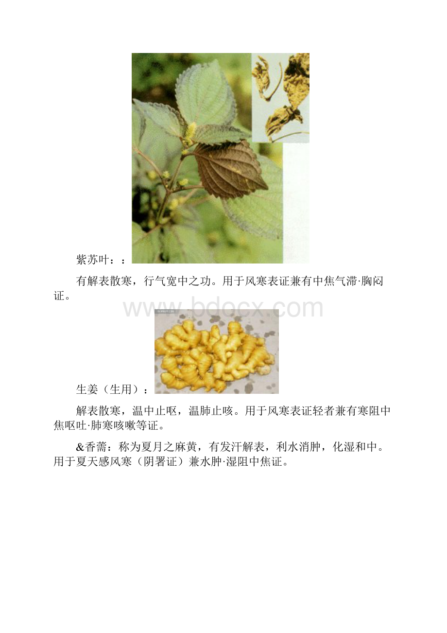 解表和清热药.docx_第2页