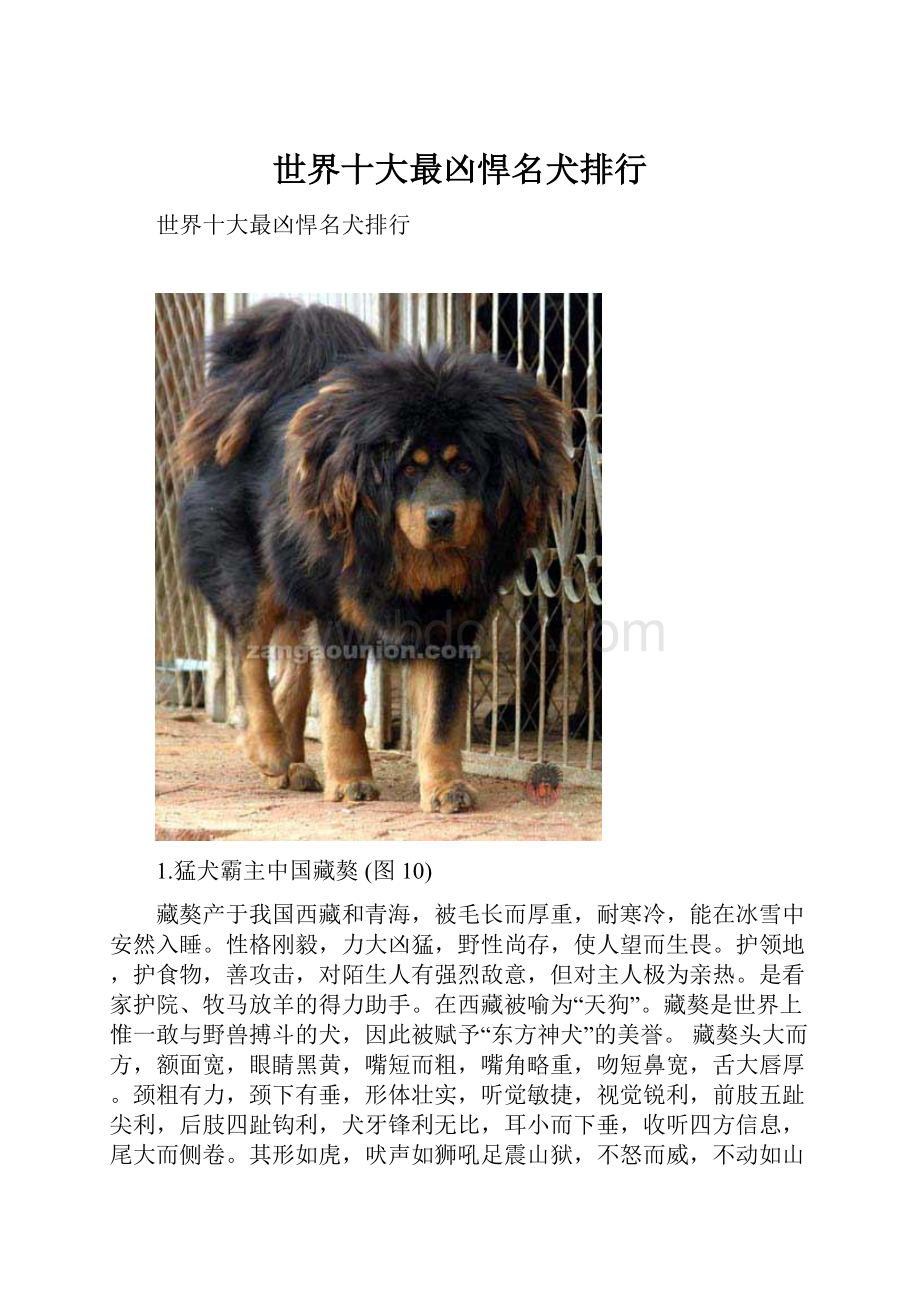 世界十大最凶悍名犬排行.docx_第1页