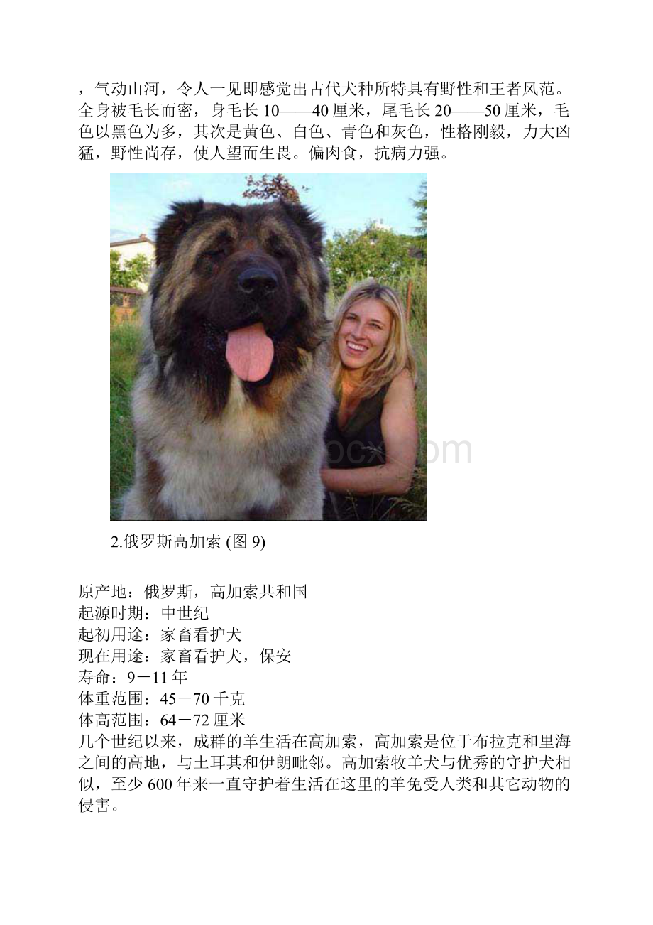 世界十大最凶悍名犬排行.docx_第2页