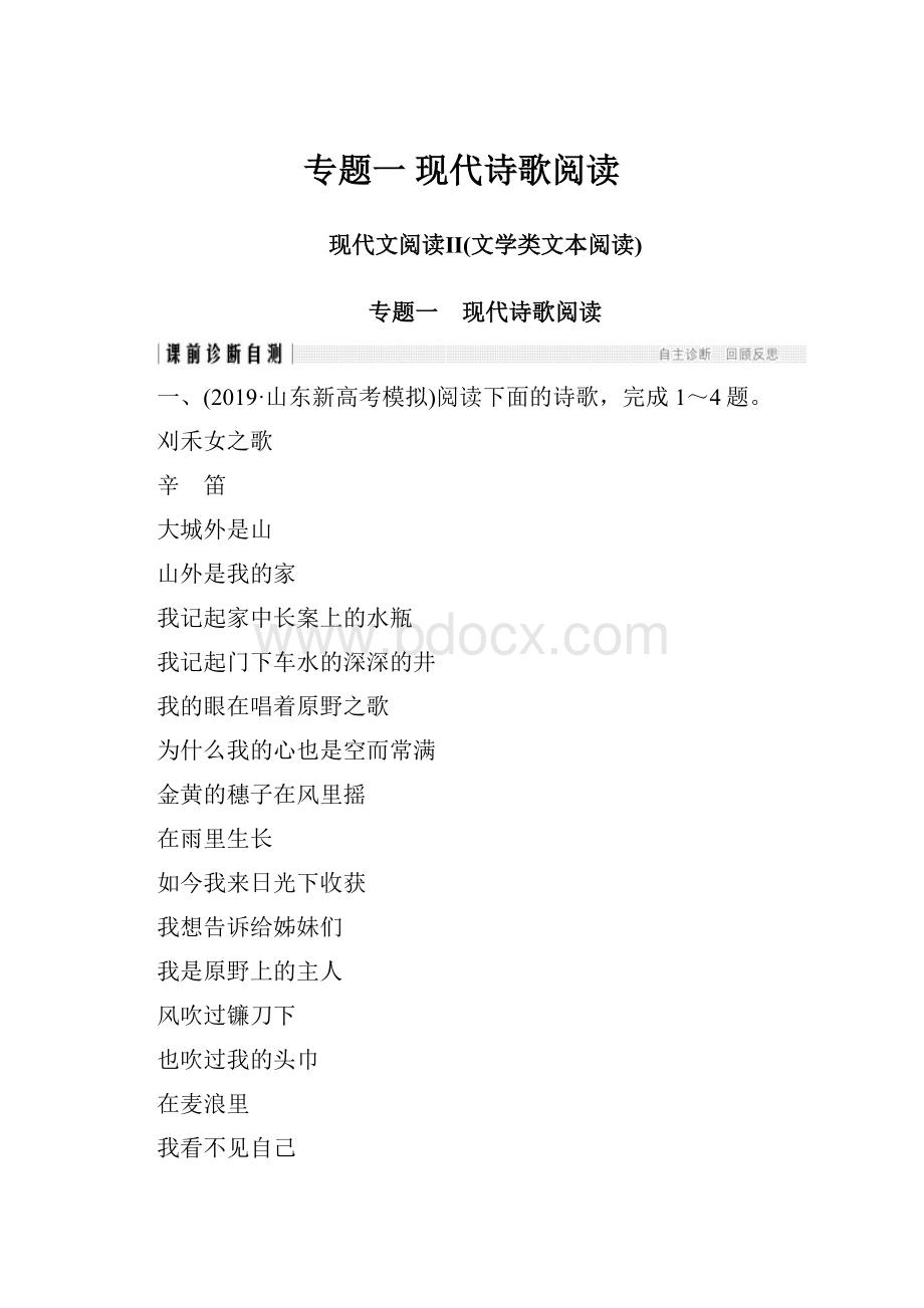 专题一 现代诗歌阅读.docx