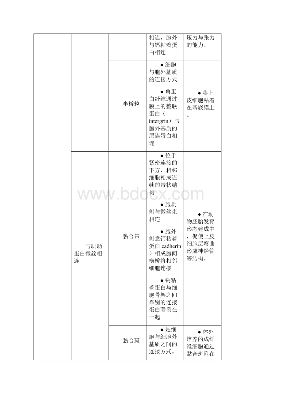 第十五章细胞社会的联系细胞连接细胞粘着和细胞外基质.docx_第2页