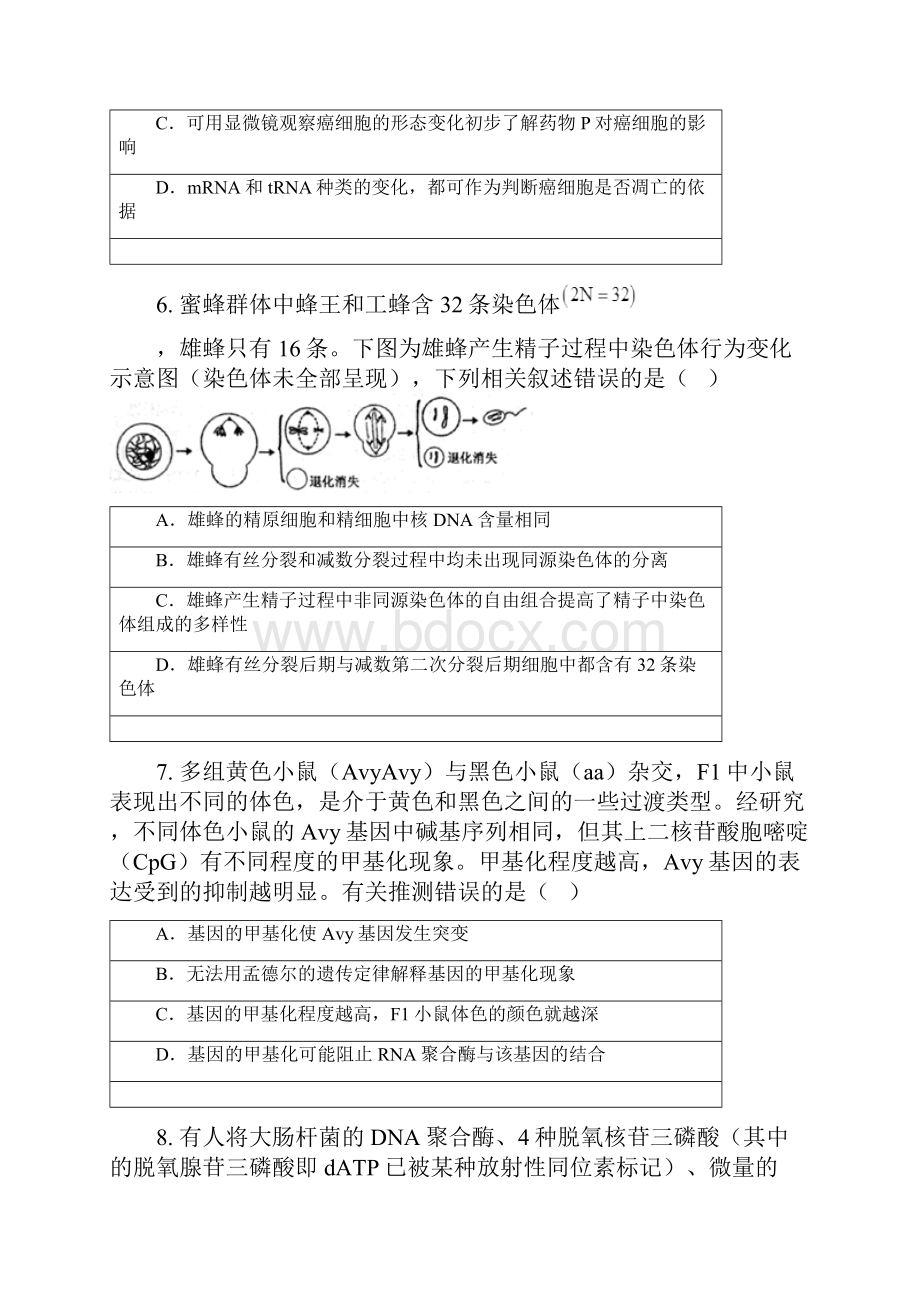 山东省青岛市胶州一中学年高三月考生物试题.docx_第3页