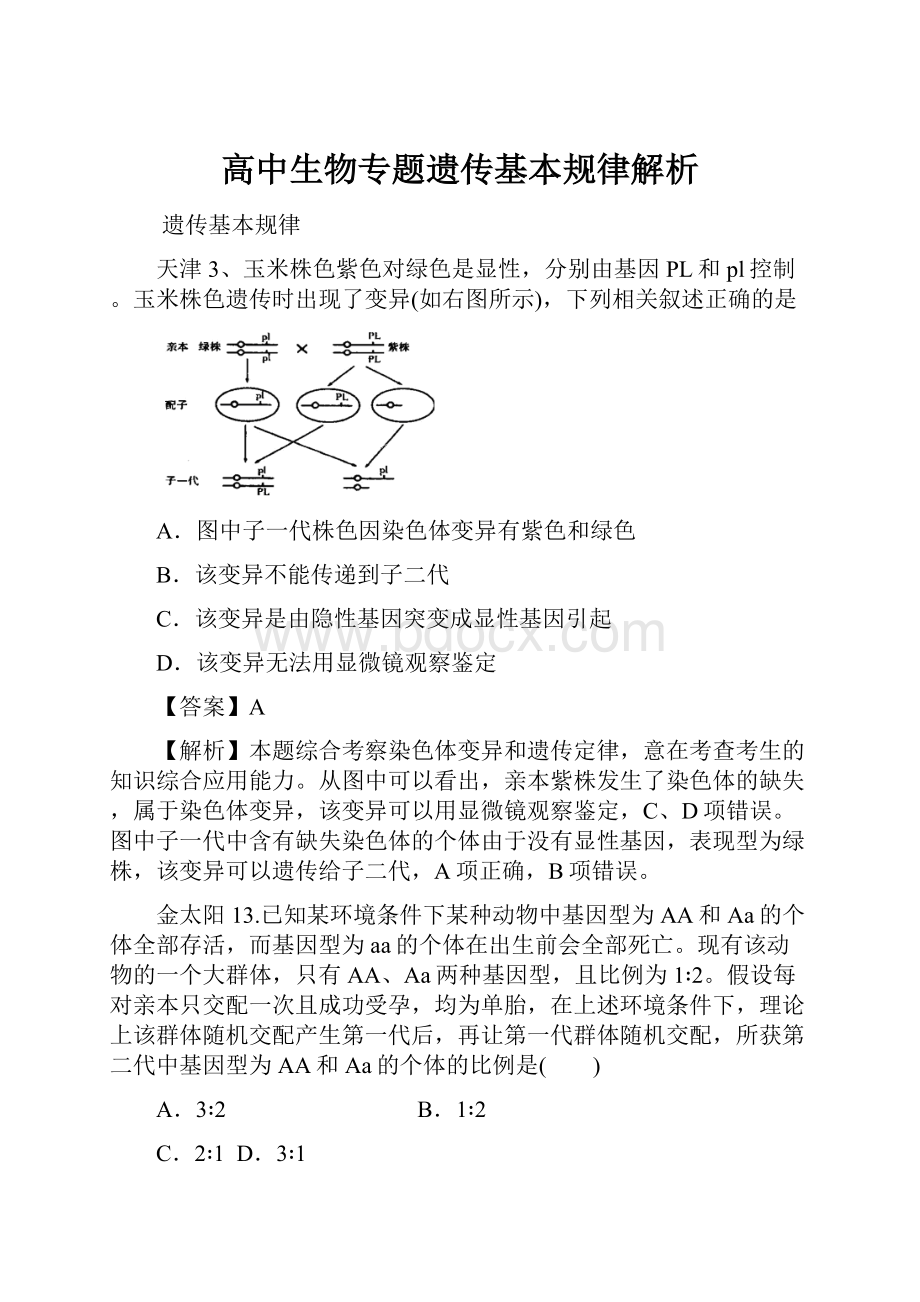 高中生物专题遗传基本规律解析.docx