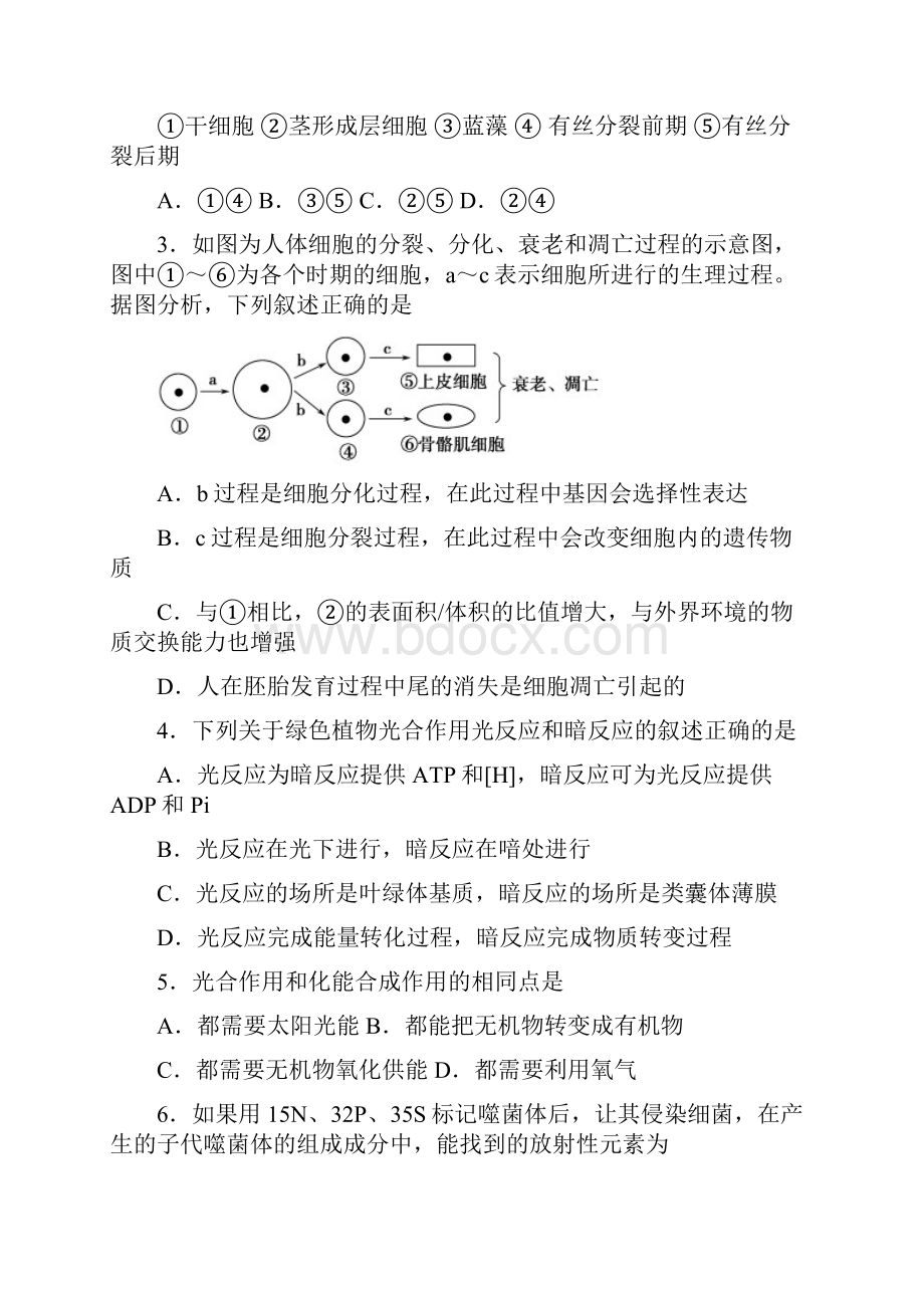 四川省资阳市学年高一下学期期末生物试题63bb7d14d5fc461993fff3dabd07524d.docx_第2页