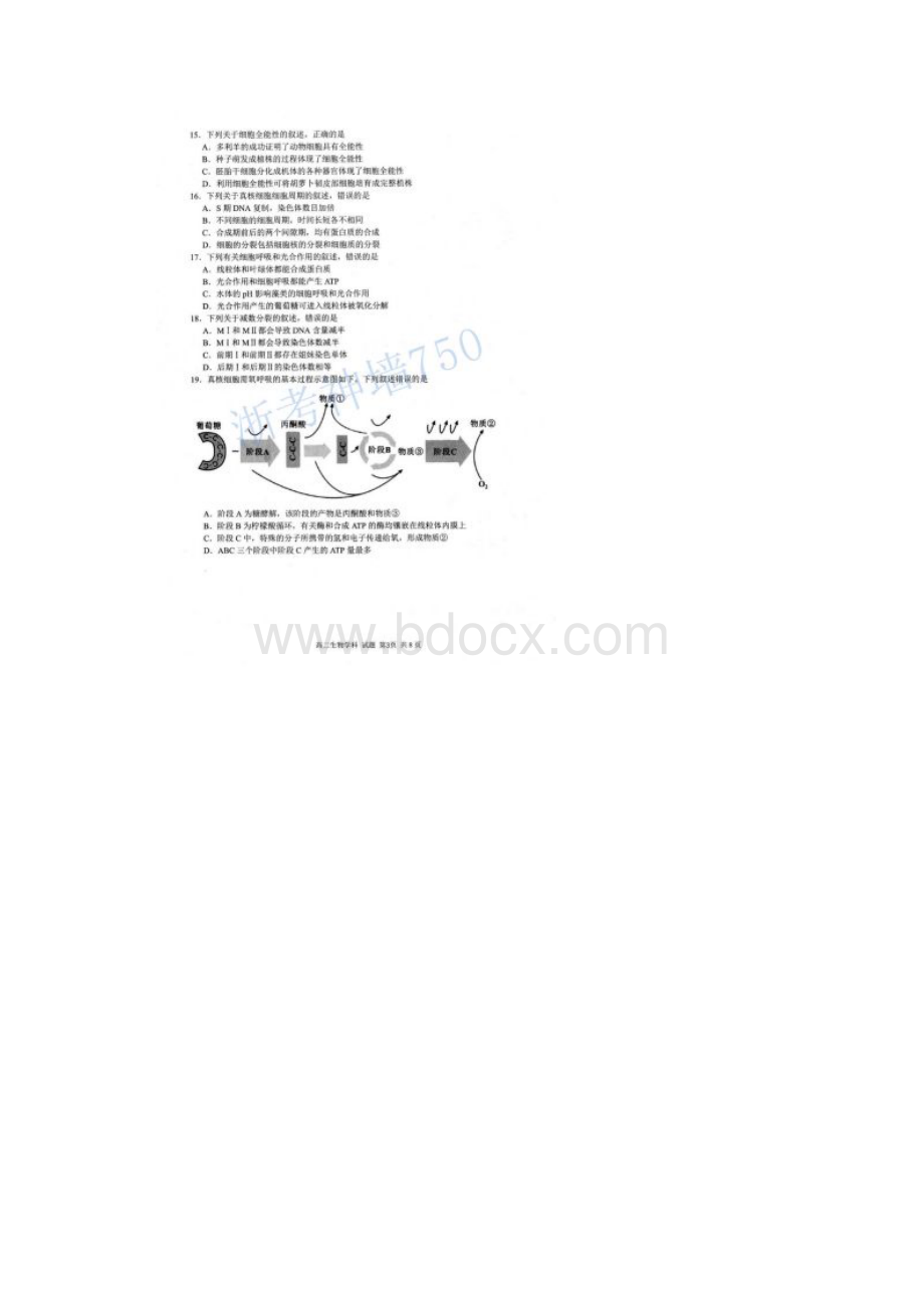 学年第一学期浙江省名校协作体届高二试题 生物含答案.docx_第3页