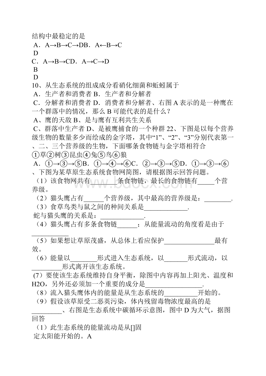 八年级生物下册《能量流动和物质循环》复习学案.docx_第3页