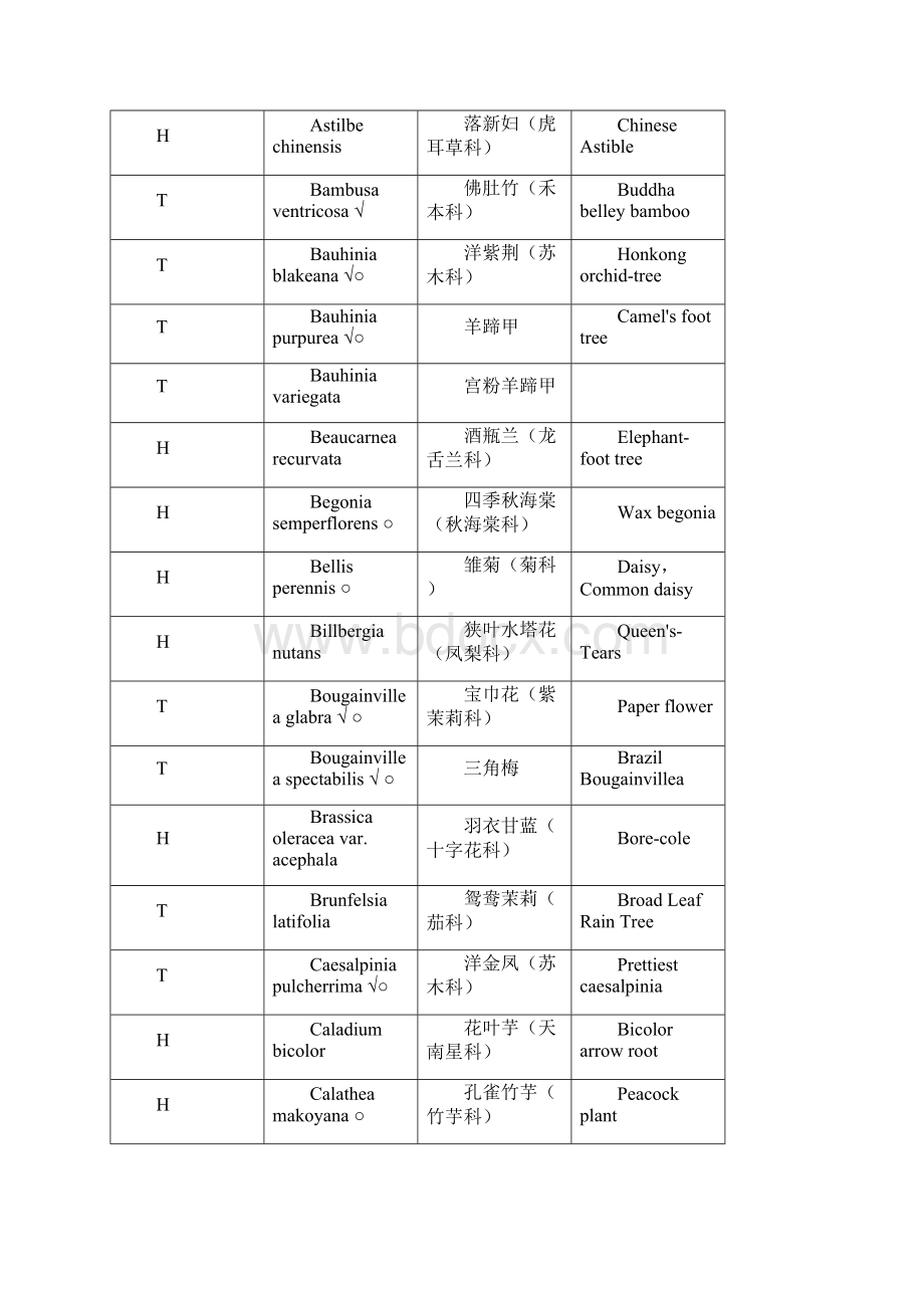 树木学花卉学拉丁文课件资料.docx_第3页