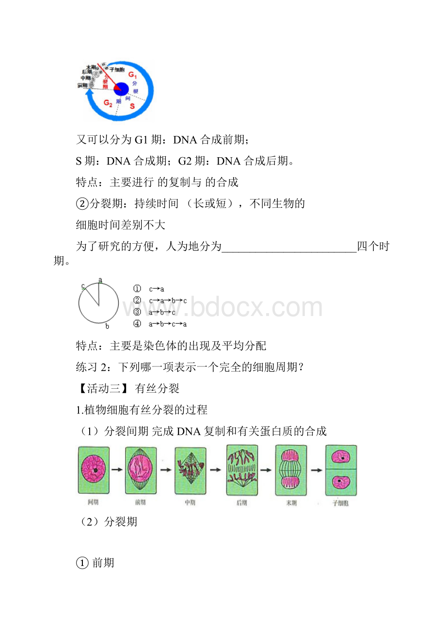 高中生物 第一章 走近细胞 161 细胞增殖导学案 新人教版必修1.docx_第3页