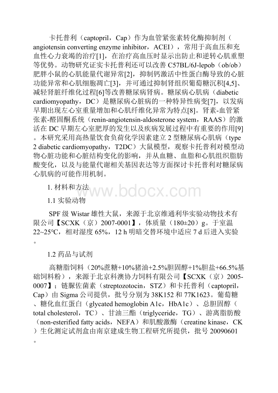 卡托普利对性2型糖尿病心肌病大鼠模型心脏保护作用研究.docx_第3页