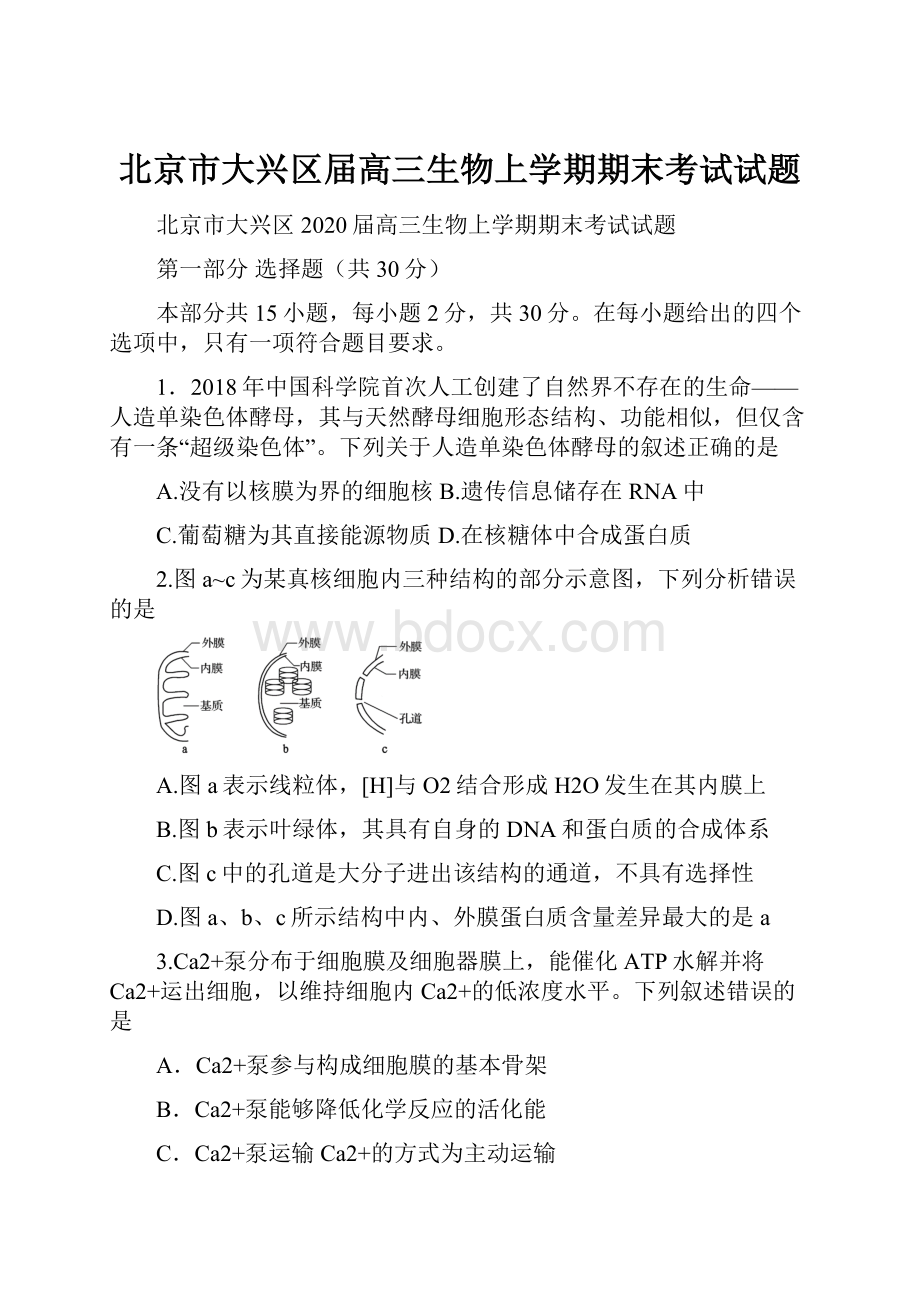 北京市大兴区届高三生物上学期期末考试试题.docx