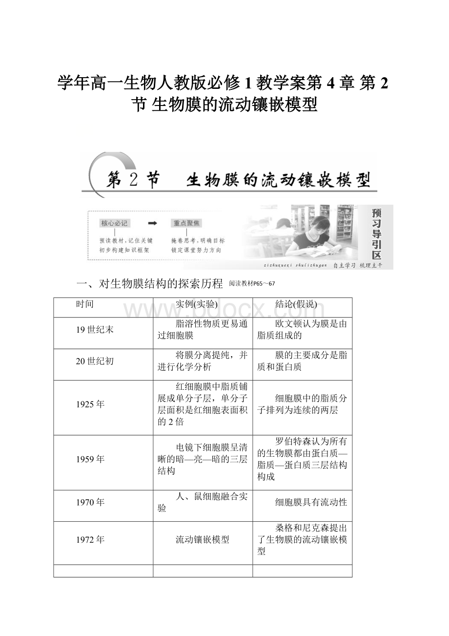 学年高一生物人教版必修1教学案第4章 第2节 生物膜的流动镶嵌模型.docx_第1页