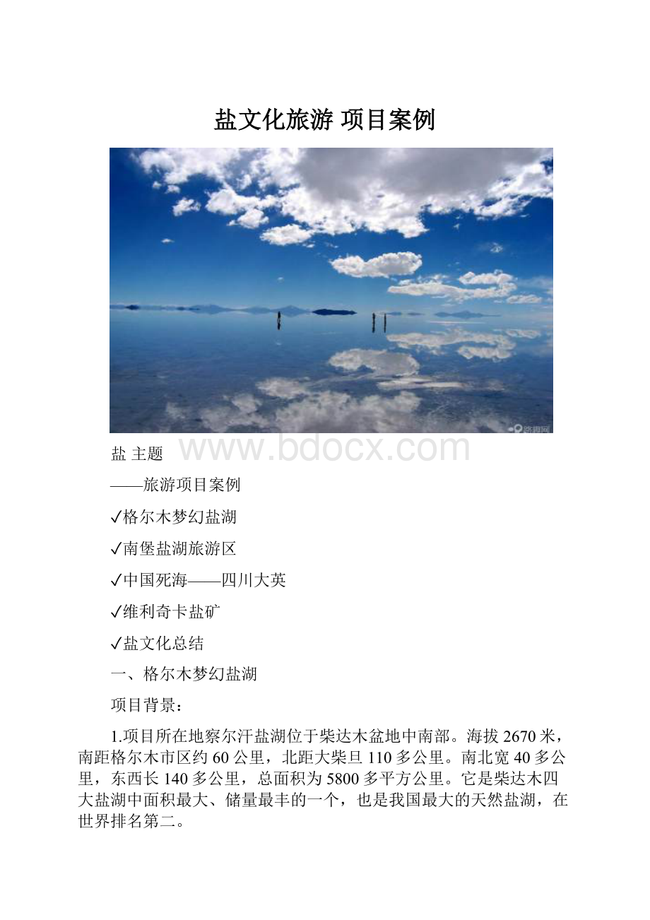 盐文化旅游 项目案例.docx