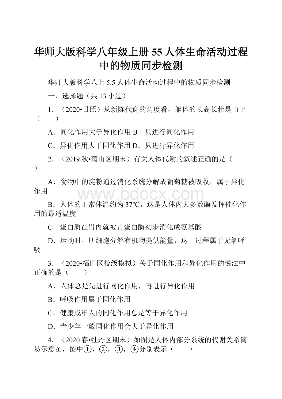 华师大版科学八年级上册55人体生命活动过程中的物质同步检测.docx