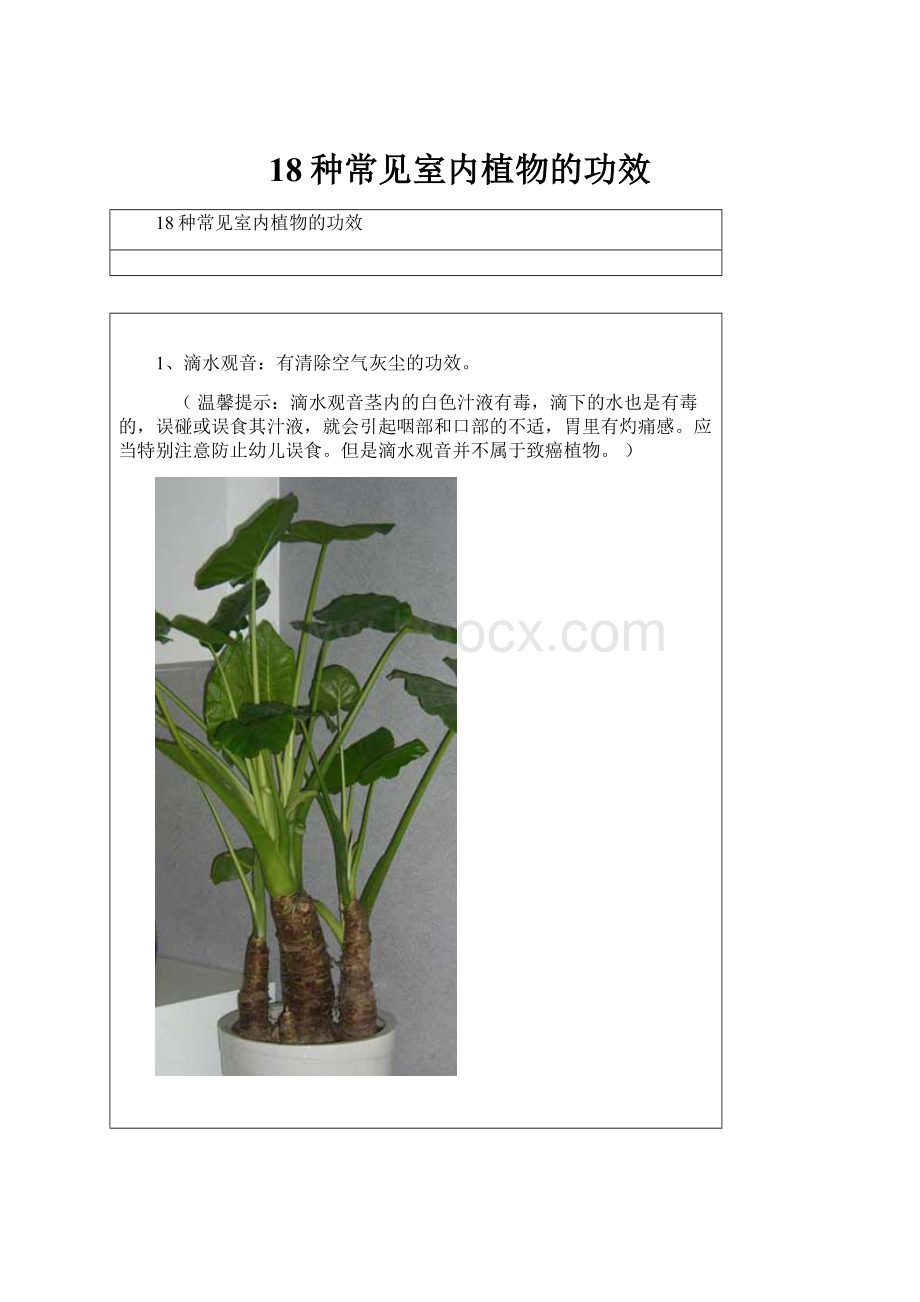 18种常见室内植物的功效.docx