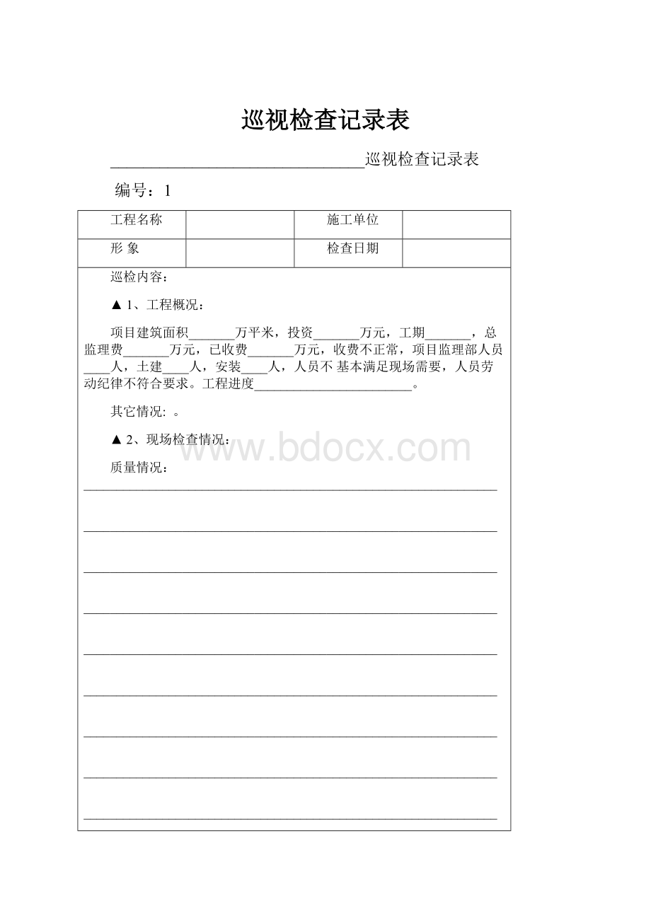 巡视检查记录表.docx