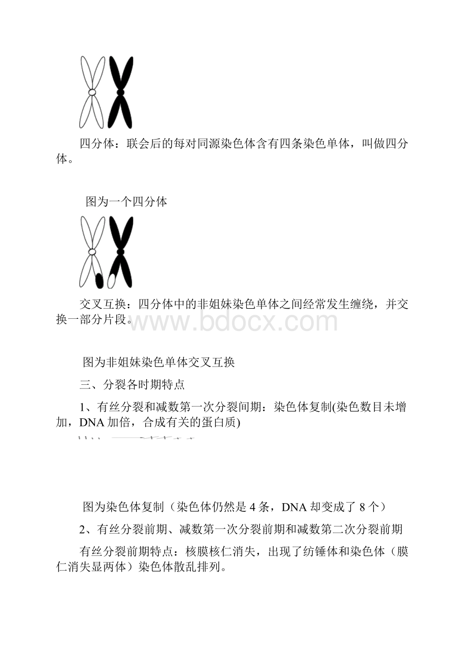 减数分裂和有丝分裂异同.docx_第3页