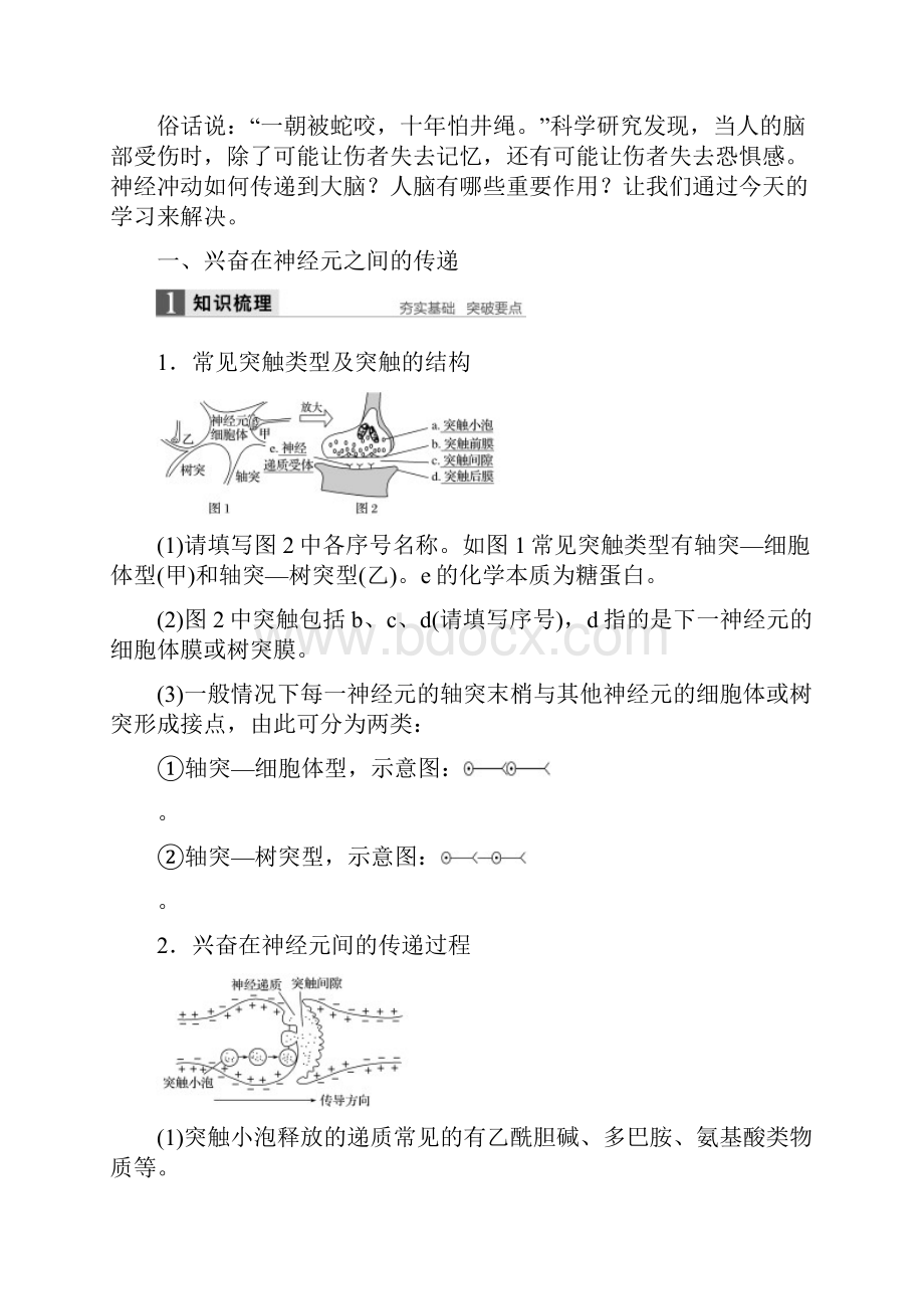 全国通用版版高中生物 第2章 动物和人体生命活动的调节 第1节 通过神经系统的.docx_第2页