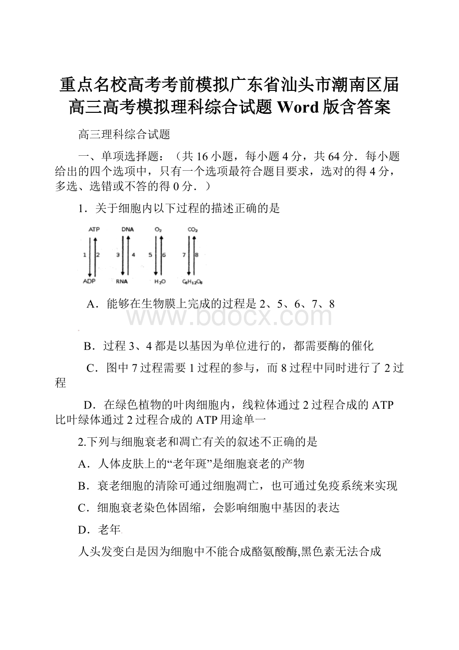 重点名校高考考前模拟广东省汕头市潮南区届高三高考模拟理科综合试题 Word版含答案.docx_第1页