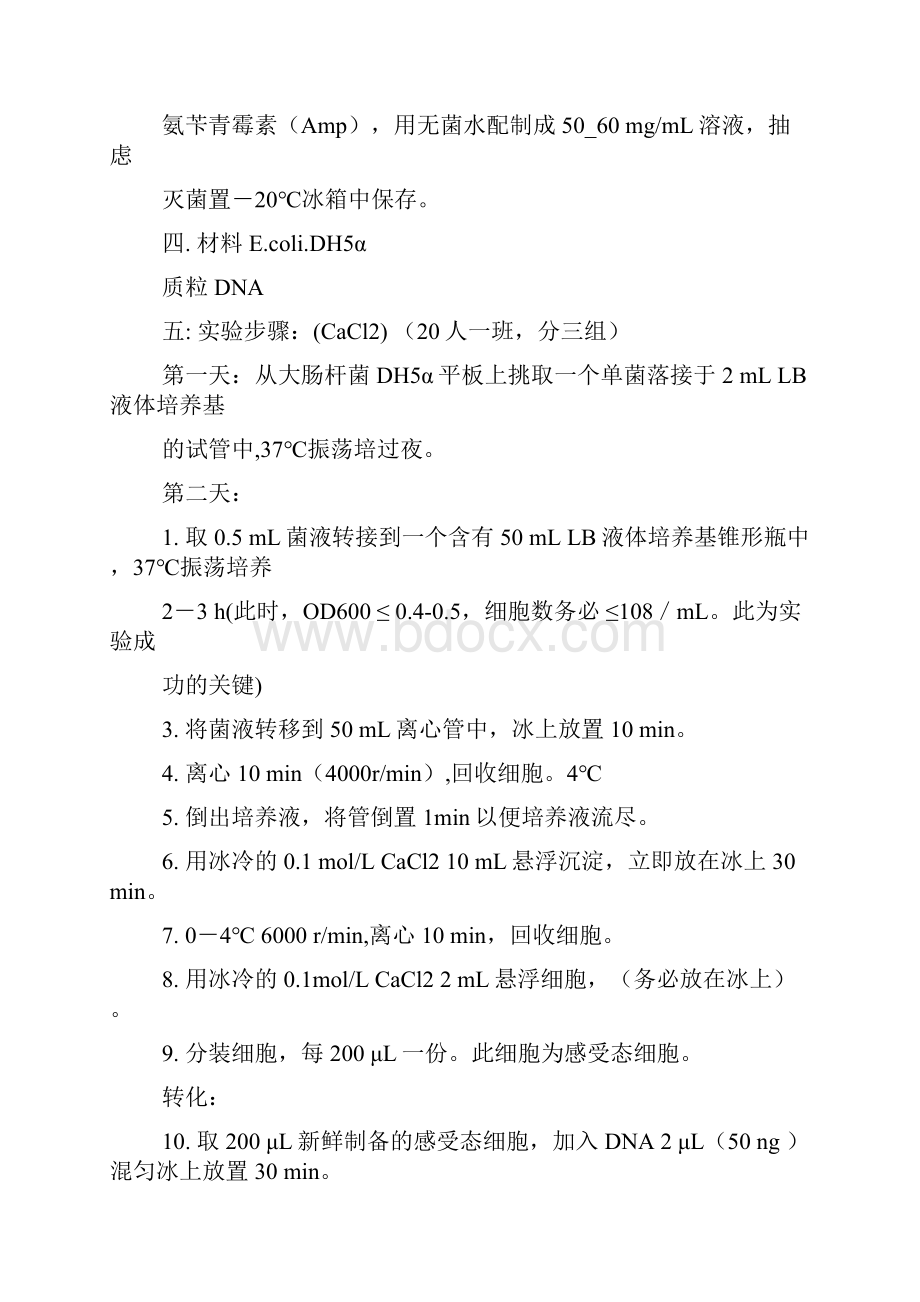 分子生物学试验教学教案.docx_第3页