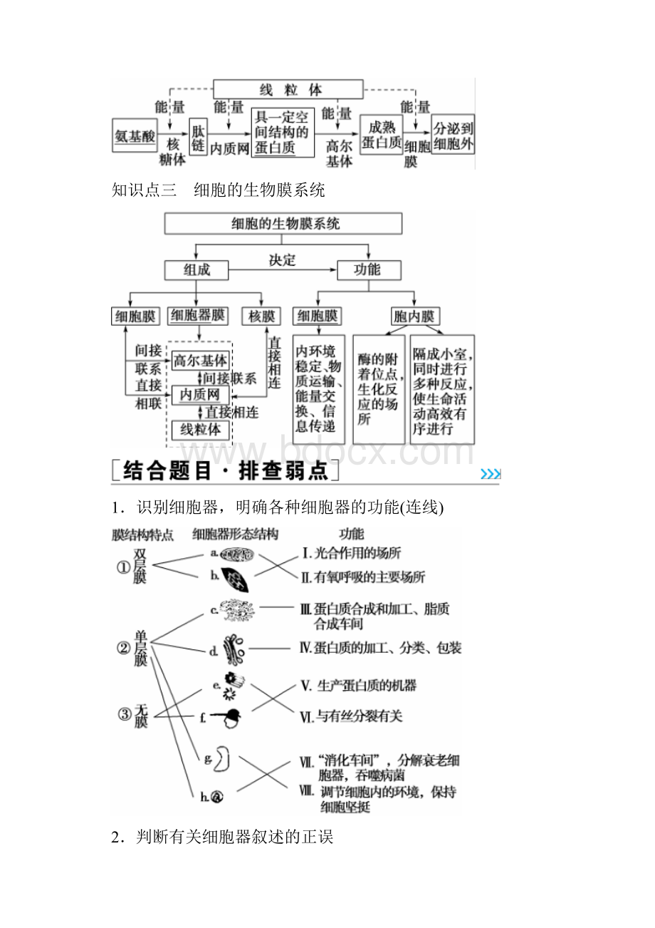 高考生物一轮复习通用版习题第2单元 第6讲 细胞器与生物膜系统.docx_第3页