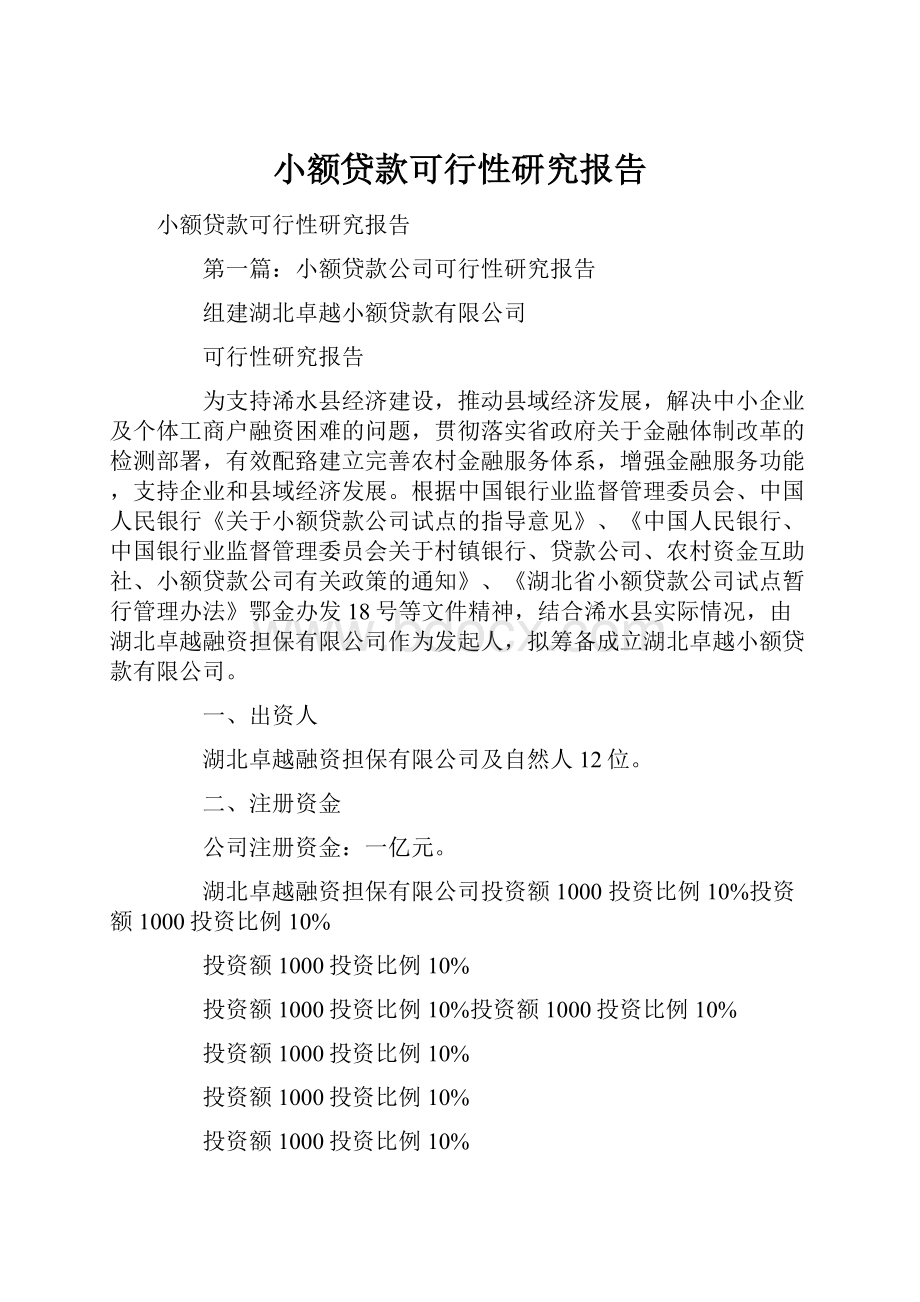 小额贷款可行性研究报告.docx