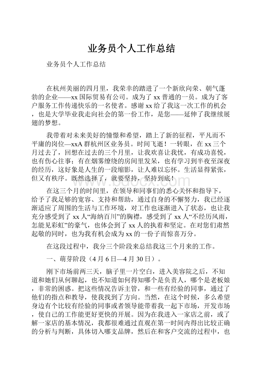 业务员个人工作总结.docx