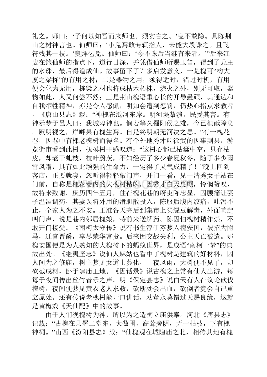 槐树崇拜文化.docx_第2页