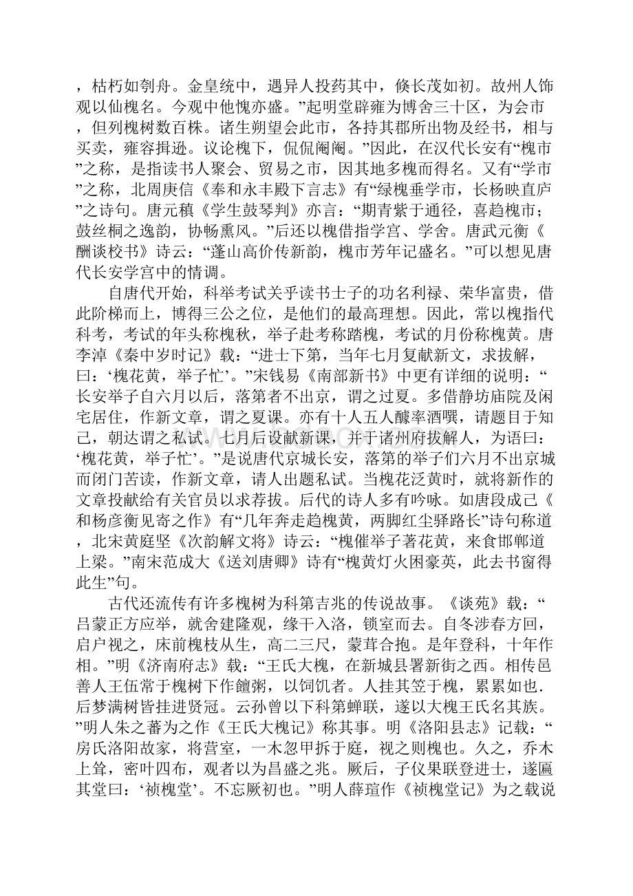 槐树崇拜文化.docx_第3页