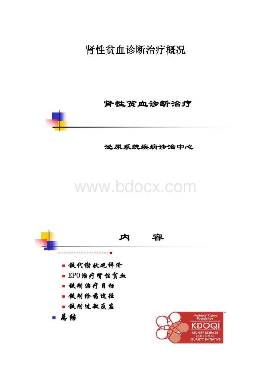 肾性贫血诊断治疗概况.docx