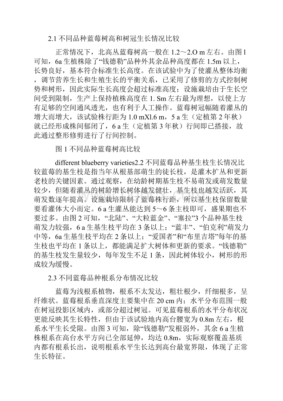 适于丹东地区温室栽培的蓝莓引种与筛选.docx_第3页