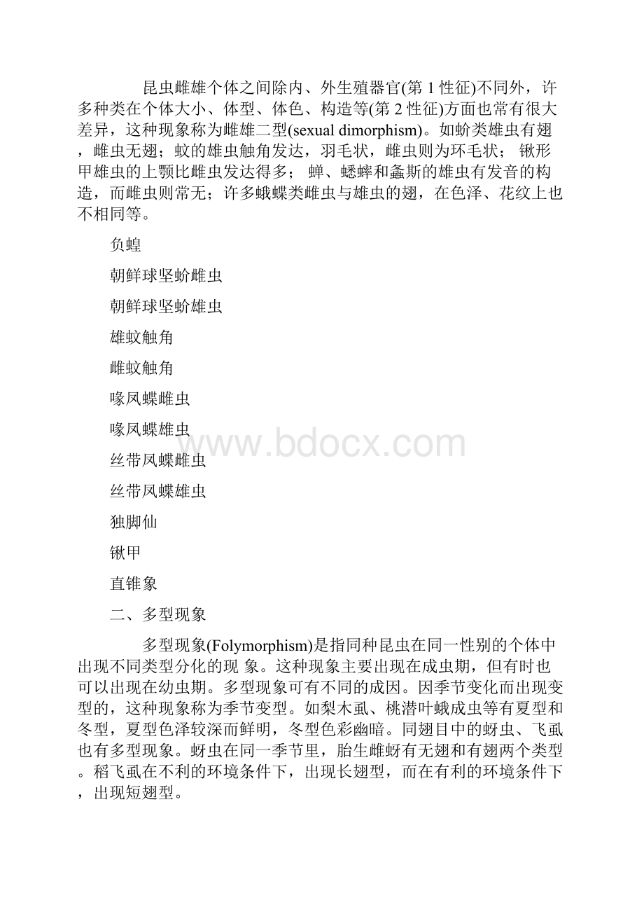 昆虫学九十十一课件资料.docx_第2页