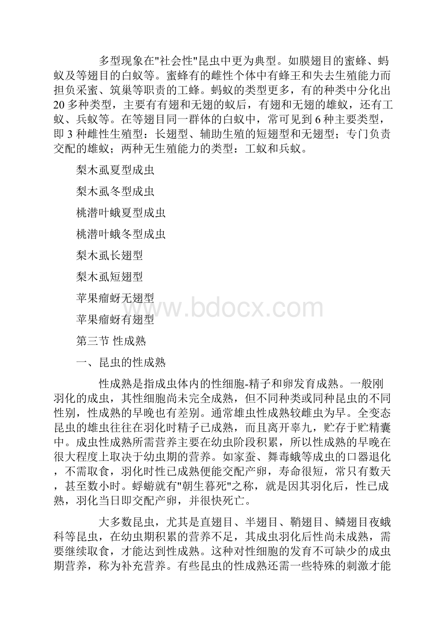 昆虫学九十十一课件资料.docx_第3页