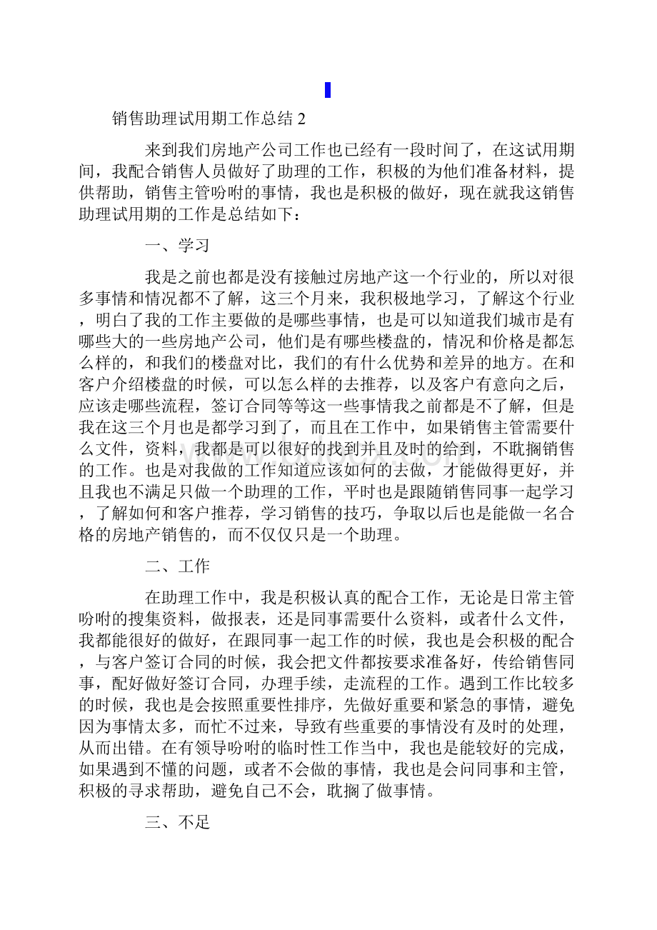 销售助理试用期工作总结.docx_第3页