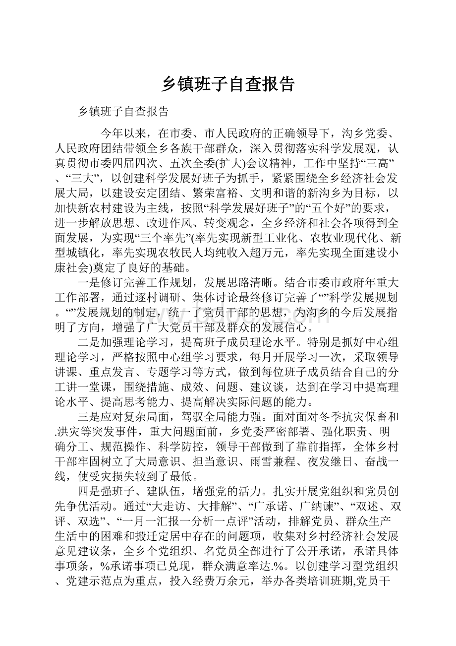 乡镇班子自查报告.docx_第1页