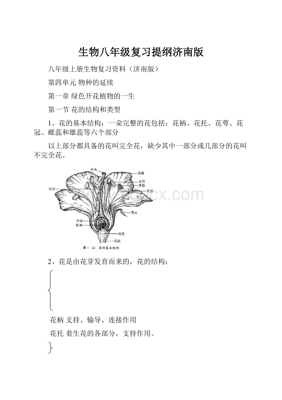 生物八年级复习提纲济南版.docx_第1页