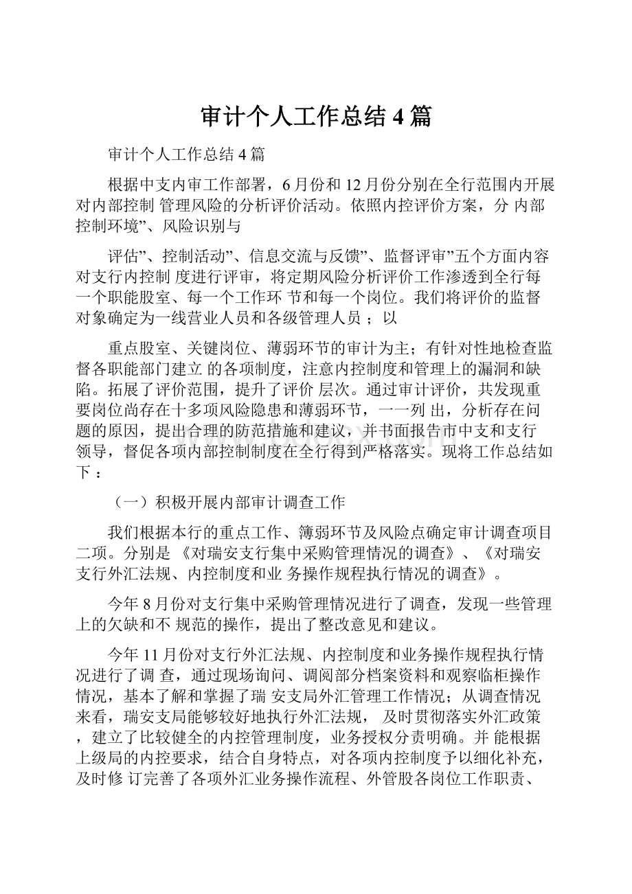 审计个人工作总结4篇.docx