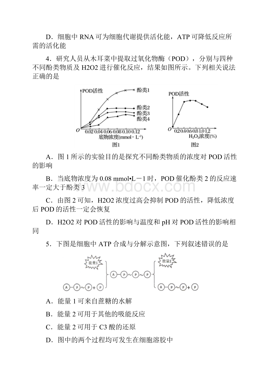 优等生高考生物专题4酶和ATP.docx_第2页