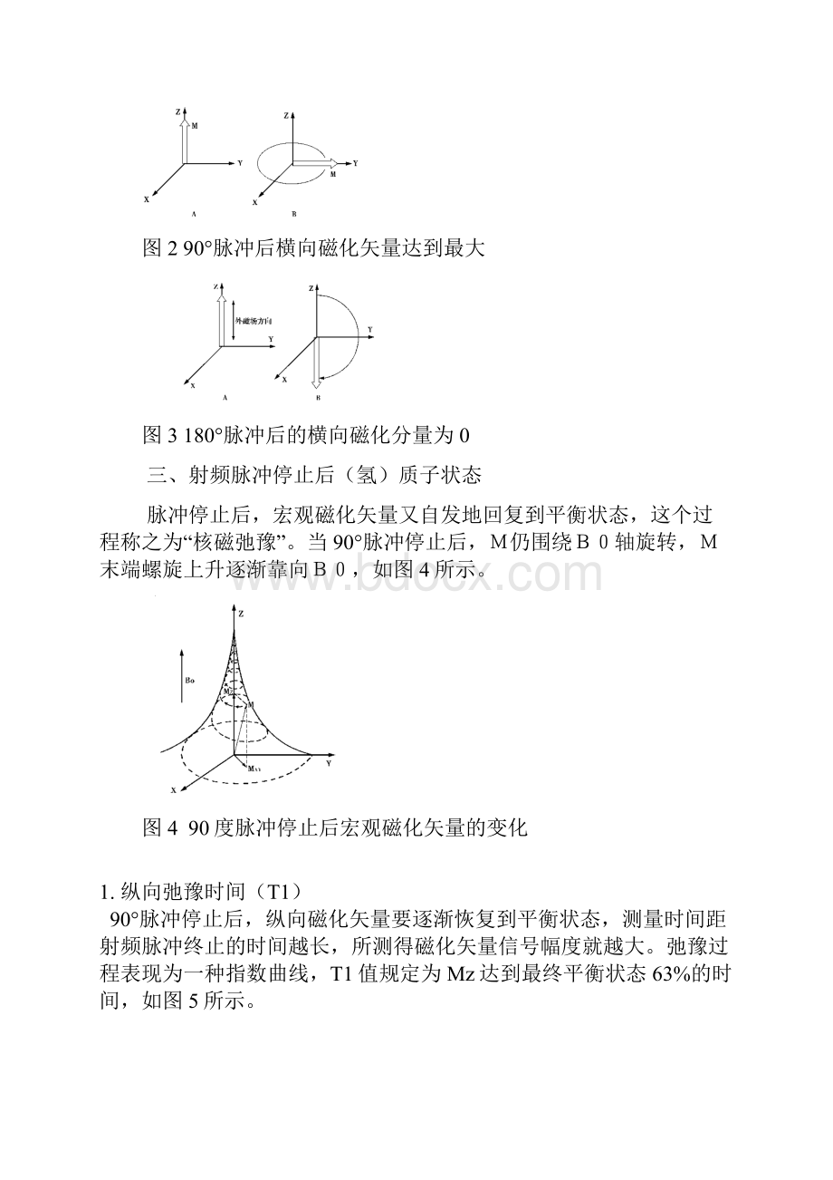 核磁共振成像实验报告.docx_第3页