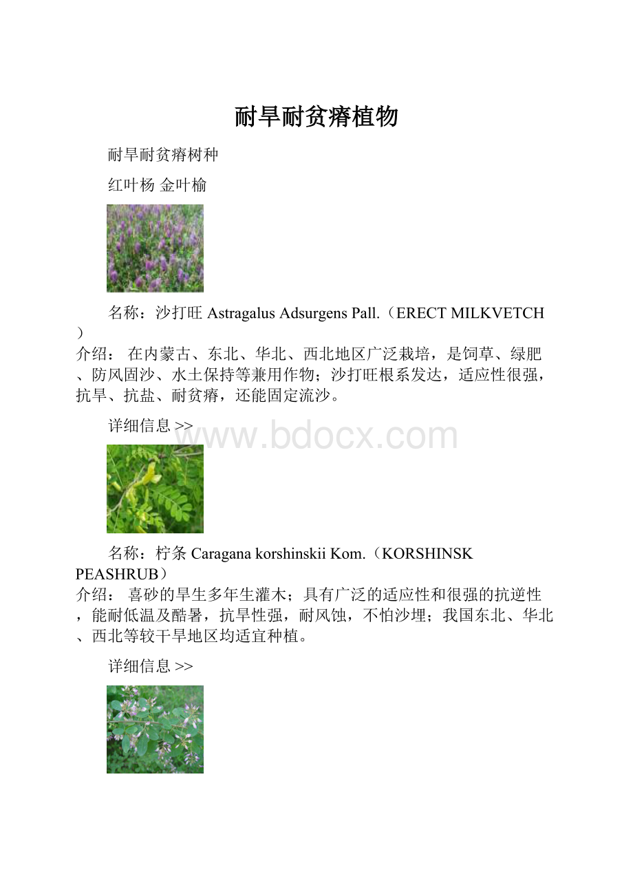 耐旱耐贫瘠植物.docx_第1页