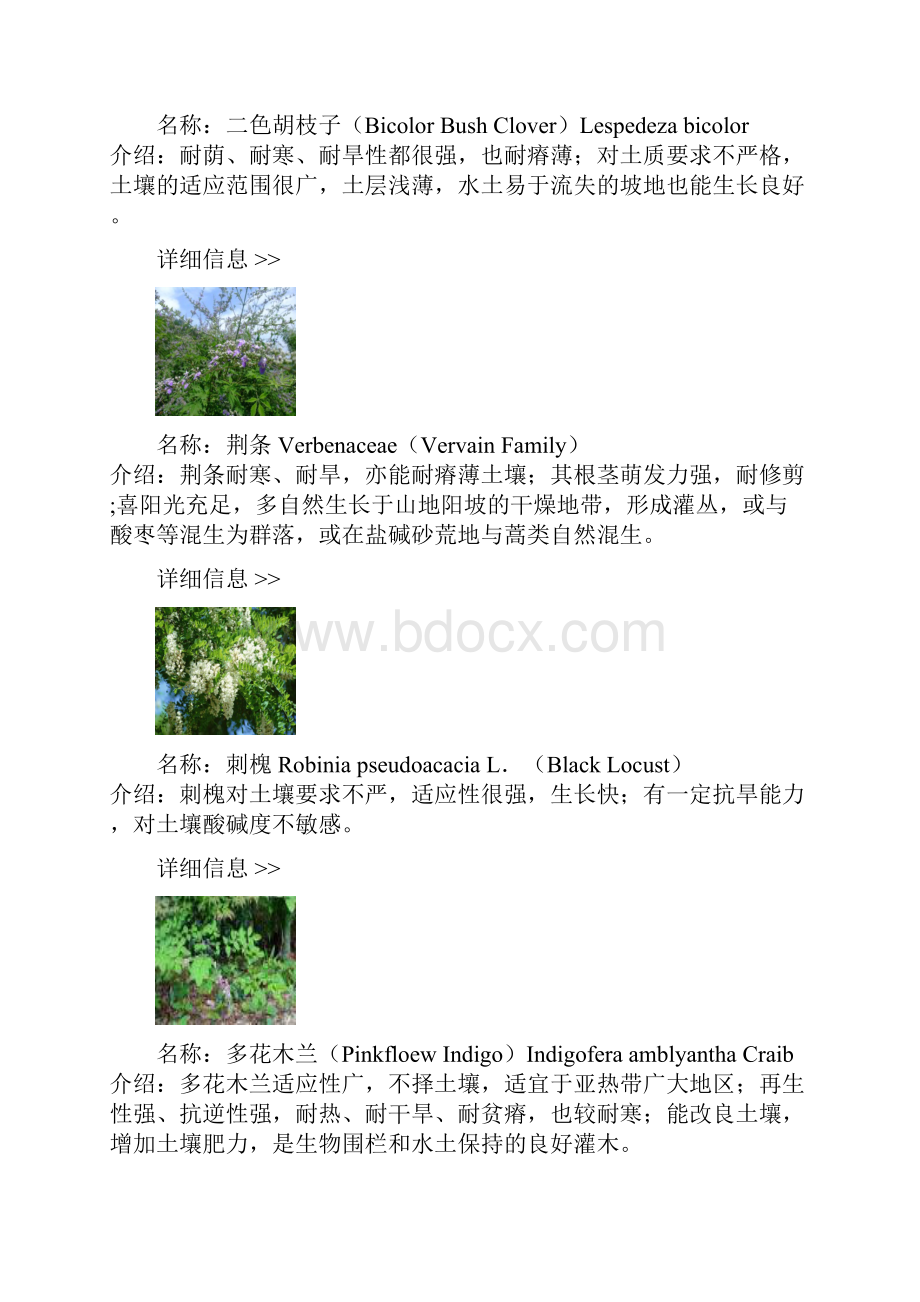 耐旱耐贫瘠植物.docx_第2页