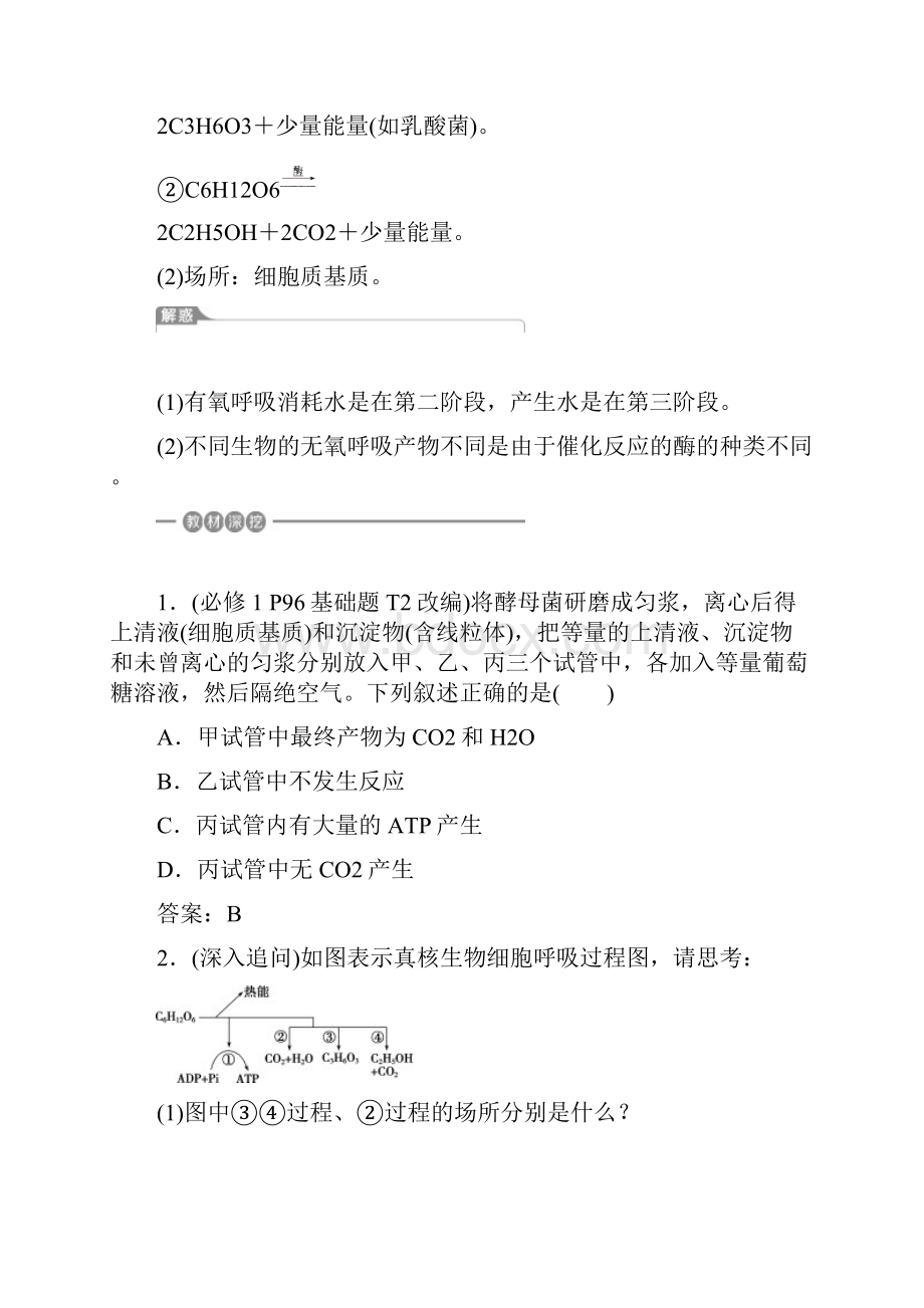 第三单元第9讲ATP的主要来源细胞呼吸一轮复习.docx_第2页