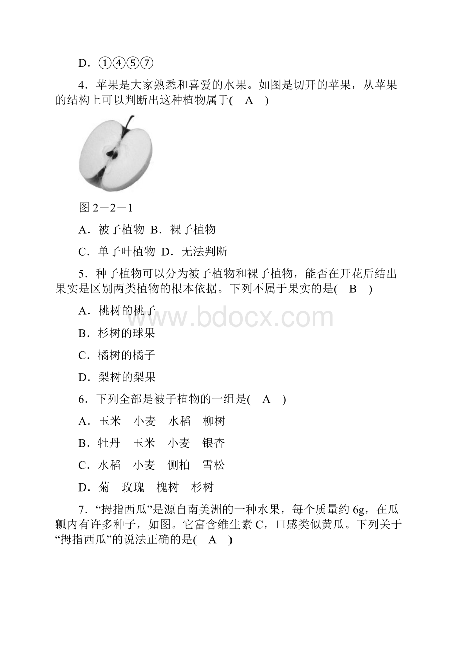 秋华师大版七年级科学上册同步测试22 植物的主要类群.docx_第2页