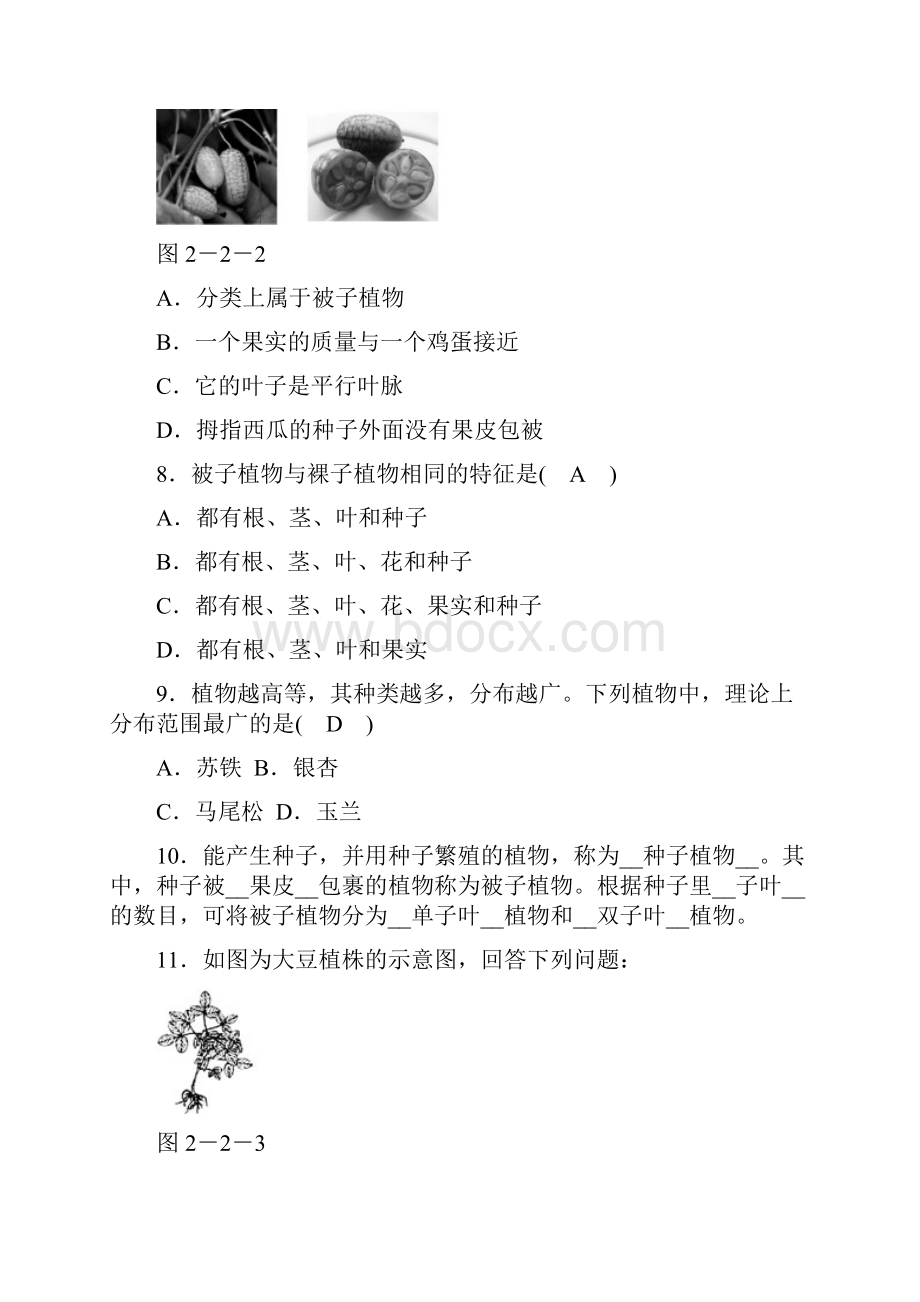 秋华师大版七年级科学上册同步测试22 植物的主要类群.docx_第3页