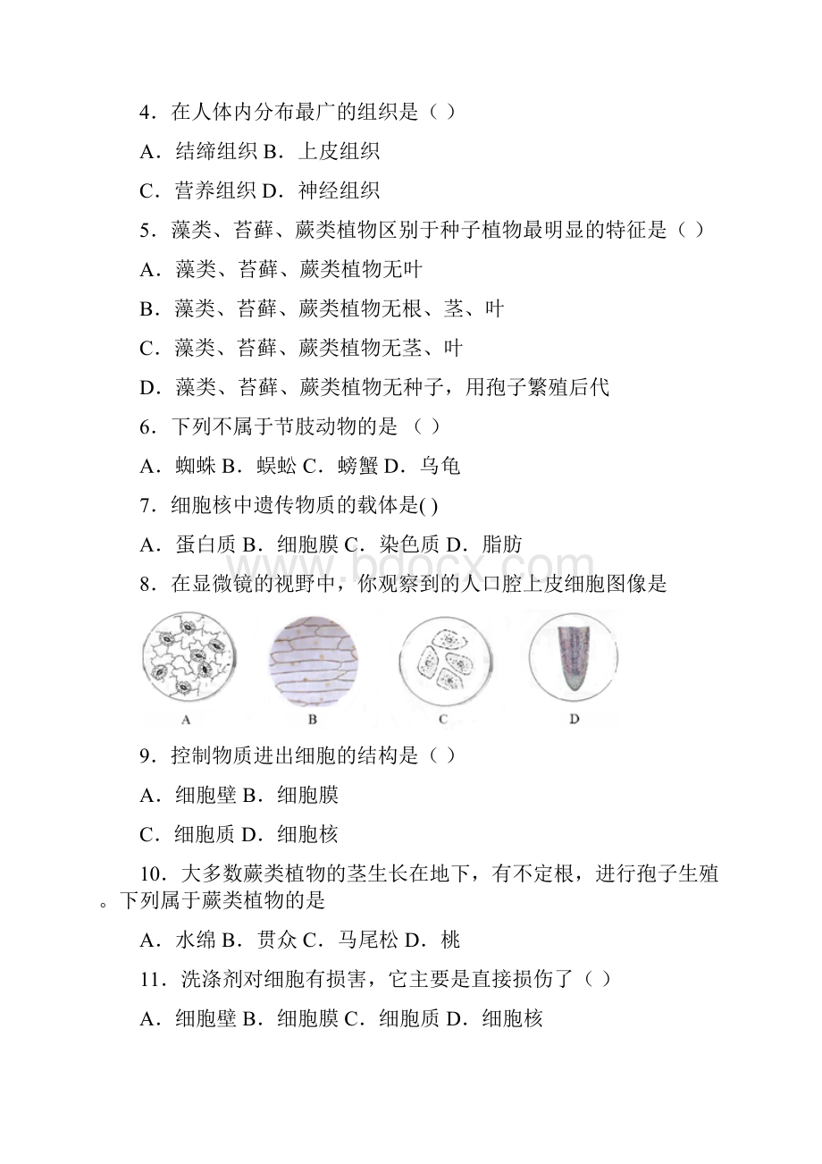 七年级下组卷3.docx_第2页